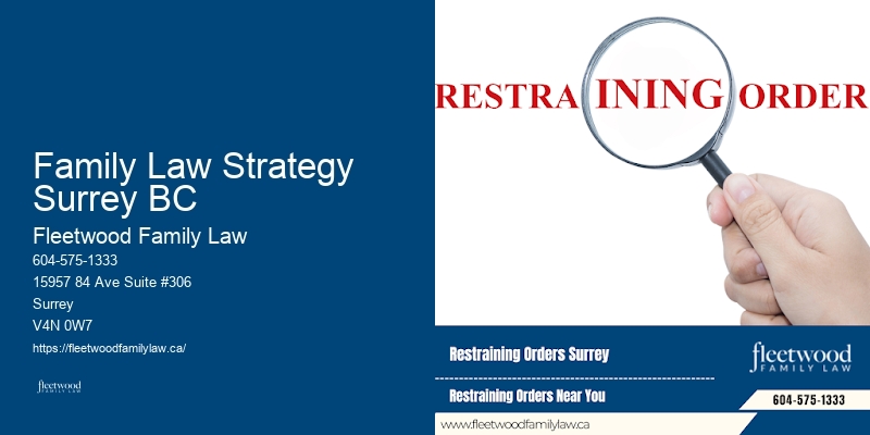 Family Dispute Lawyer Family Law Strategy Surrey BC BC