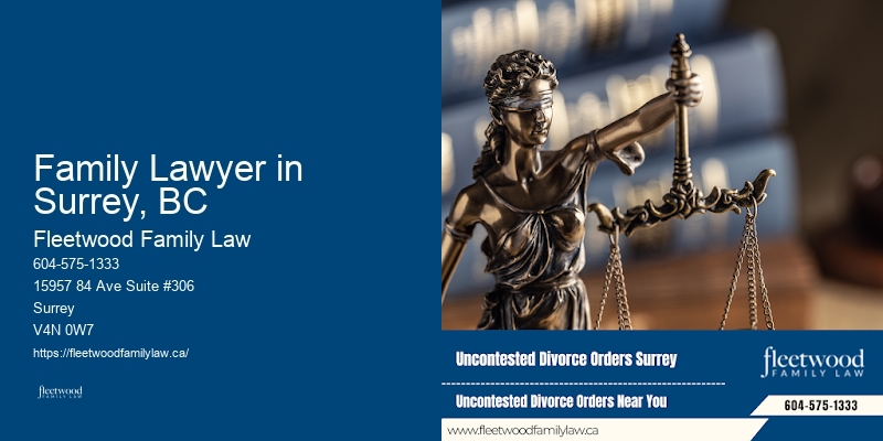 Skilled Child Support Lawyers in Family Lawyer in Surrey, BC BC