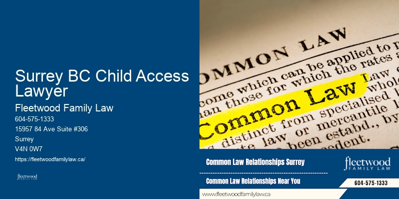 Surrey BC Child Access Lawyer BC Family Law Help