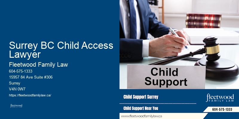 Family Law Specialist Near Me Surrey BC Child Access Lawyer BC