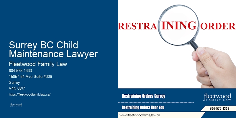 Divorce Financial Planning Attorneys Surrey BC Child Maintenance Lawyer BC