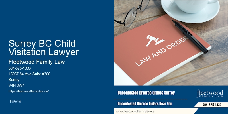 Family Law Court Representation Surrey BC Child Visitation Lawyer BC