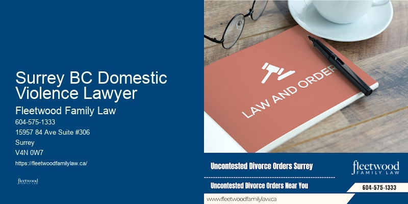 Surrey BC Domestic Violence Lawyer BC Family Law Cases