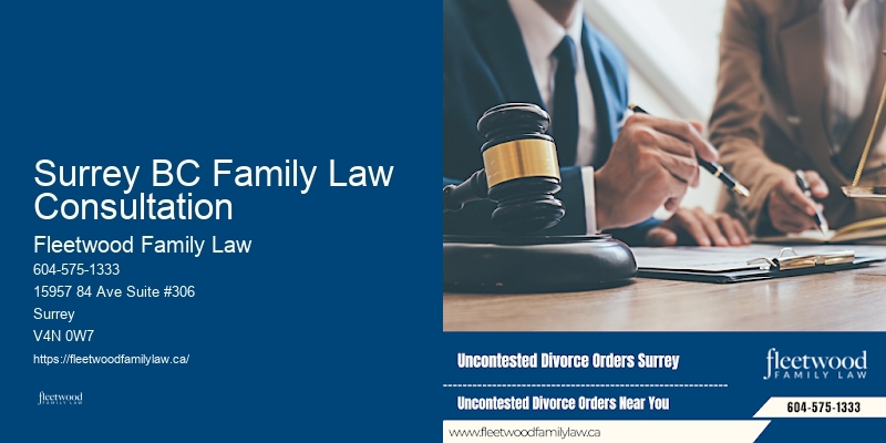 Divorce Financial Planning Attorneys Surrey BC Family Law Consultation BC