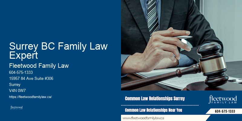 Complex Family Law Case Management Surrey BC Family Law Expert BC