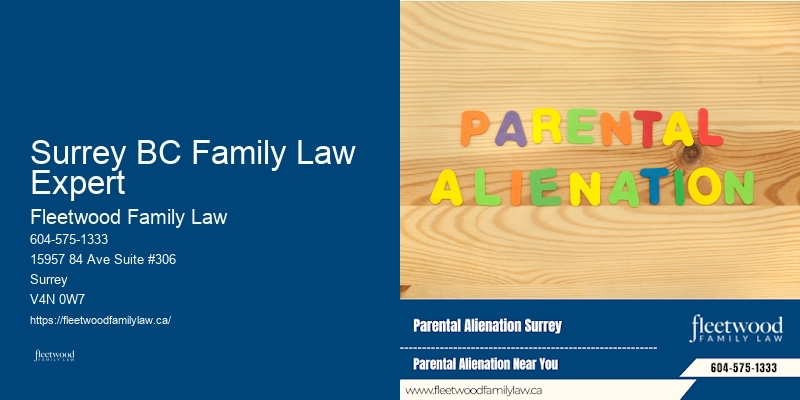 Expert spousal support services Surrey BC Family Law Expert