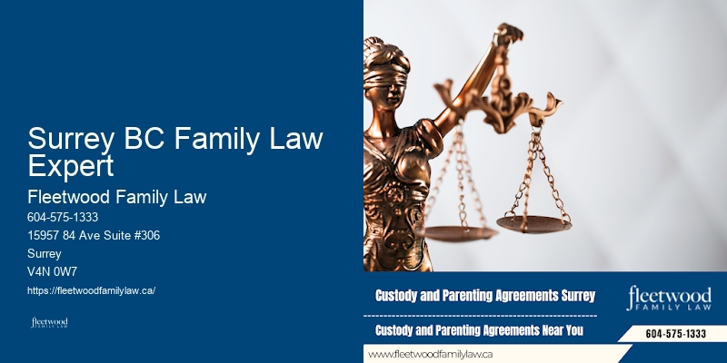 Custody and visitation attorney Surrey BC Family Law Expert