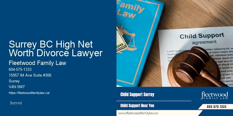 Cohabitation Agreement Drafting Surrey BC High Net Worth Divorce Lawyer BC