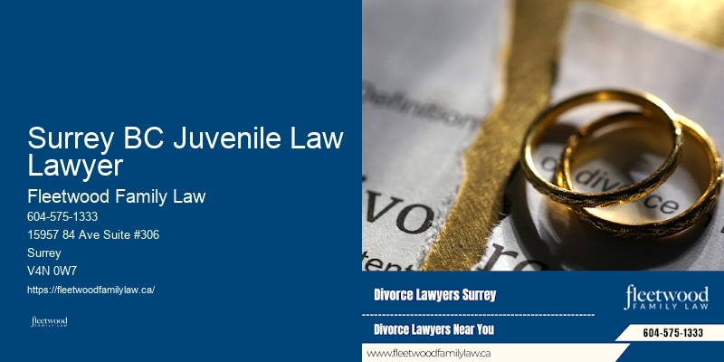 Surrey BC Juvenile Law Lawyer BC Child Rights Lawyer