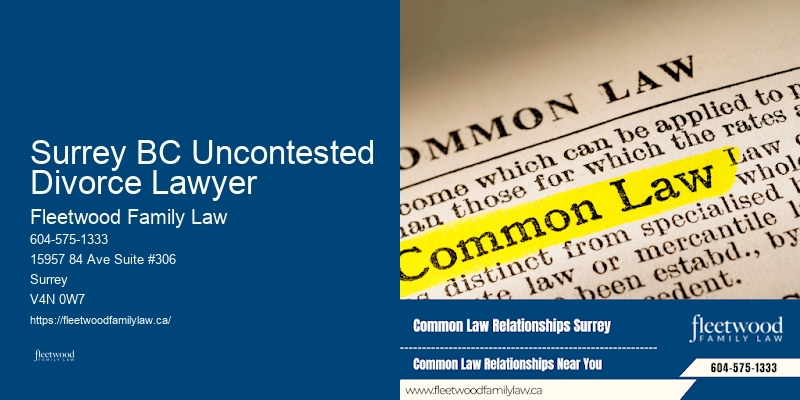 Child Rights Protection Lawyers Surrey BC Uncontested Divorce Lawyer BC