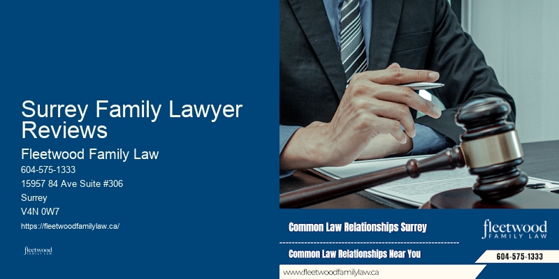 Surrey Family Lawyer Reviews BC Legal Aid Family Lawyer