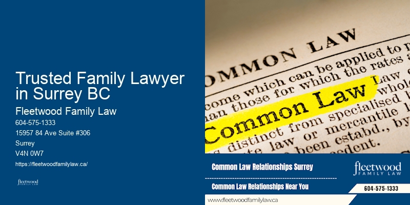 Child Custody Lawyer Trusted Family Lawyer in Surrey BC BC