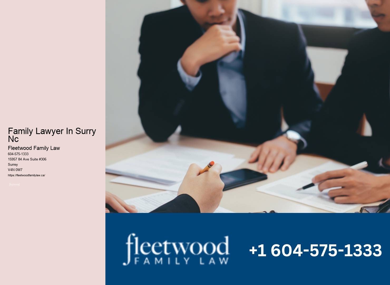 Family lawyer expenditure planning