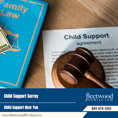 Domestic Abuse Lawyer Child Support and Custody Legal Advice in Surrey