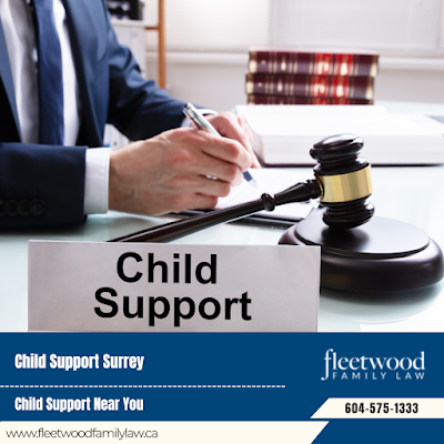 Legal Divorce Process in Child Support and Custody Legal Advice in Surrey