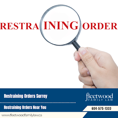 Family Court Lawyer Family Legal Services Surrey