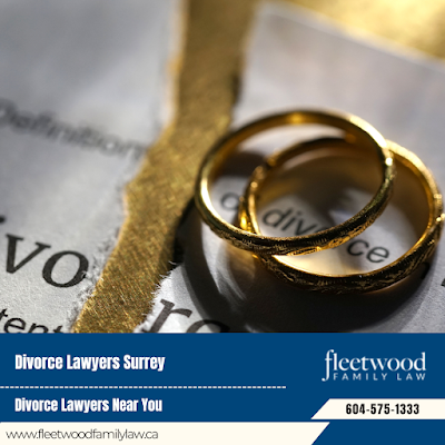 Private Adoption Lawyer How to Find a Good Family Lawyer in Surrey