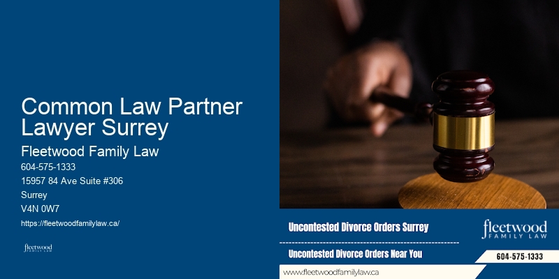 Common Law Partner Lawyer Surrey