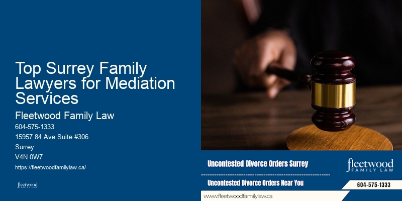 Top Surrey Family Lawyers for Mediation Services