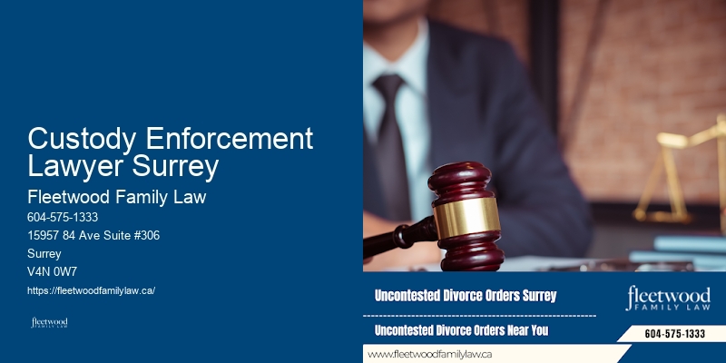 Custody Enforcement Lawyer Surrey