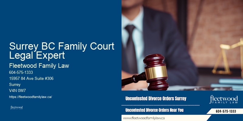 Surrey BC Family Court Legal Expert