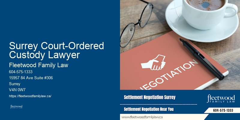 Surrey Court-Ordered Custody Lawyer