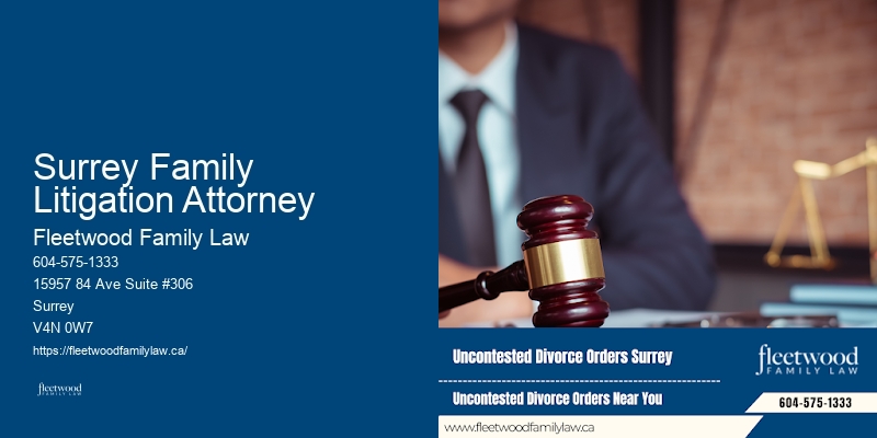 Surrey Family Litigation Attorney