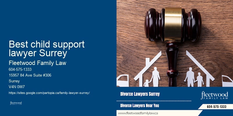 Best child support lawyer Surrey