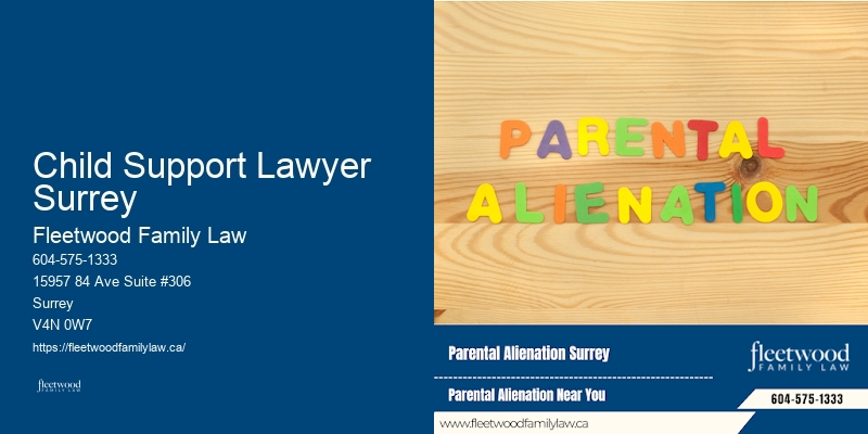 Family Lawyer Child Support Lawyer Surrey Guidance