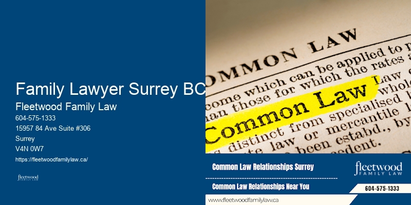 Family Lawyer Cost Efficiency