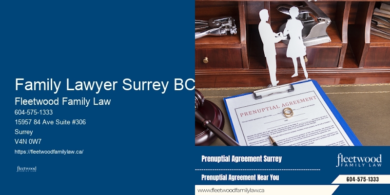 Family Lawyer Family Lawyer Surrey BC Legal Options