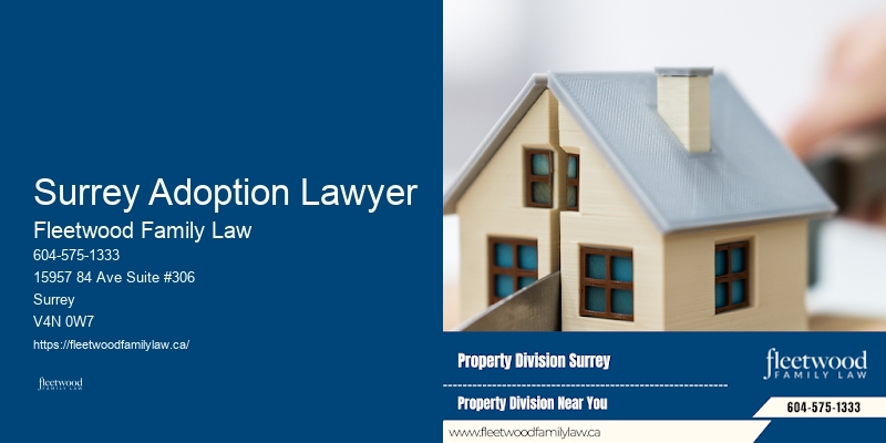 Family Lawyer for Domestic Abuse Cases Surrey Adoption Lawyer