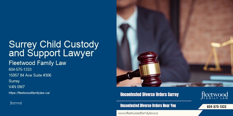 Surrey Child Custody and Support Lawyer