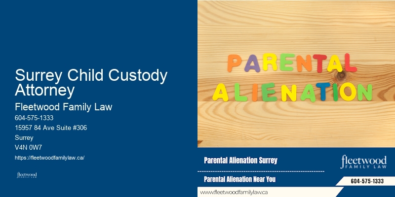 Family Lawyer Surrey Child Custody Attorney Child Support