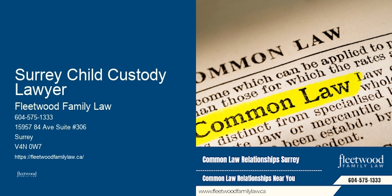 Family Law Surrey Child Custody Lawyer British Columbia