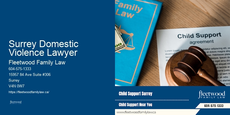 Family Lawyer In Surry Nc