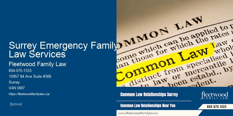 Proven Family Lawyer Surrey Emergency Family Law Services