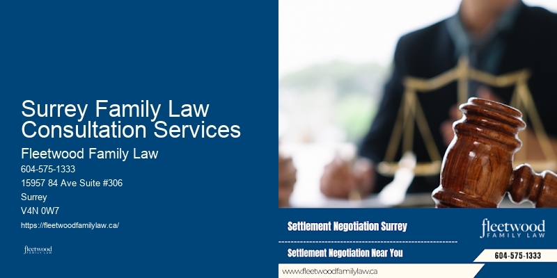 Family Law Litigator