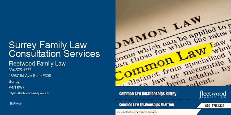 Child Custody Consultant