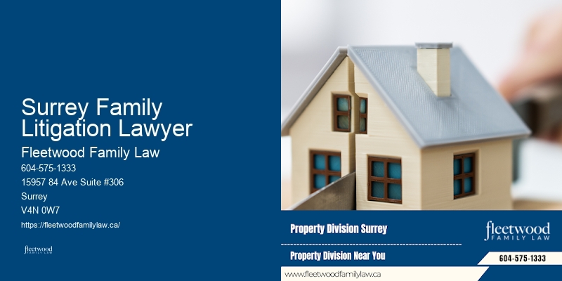 Family Lawyer In Surrey Family Litigation Lawyer Bc