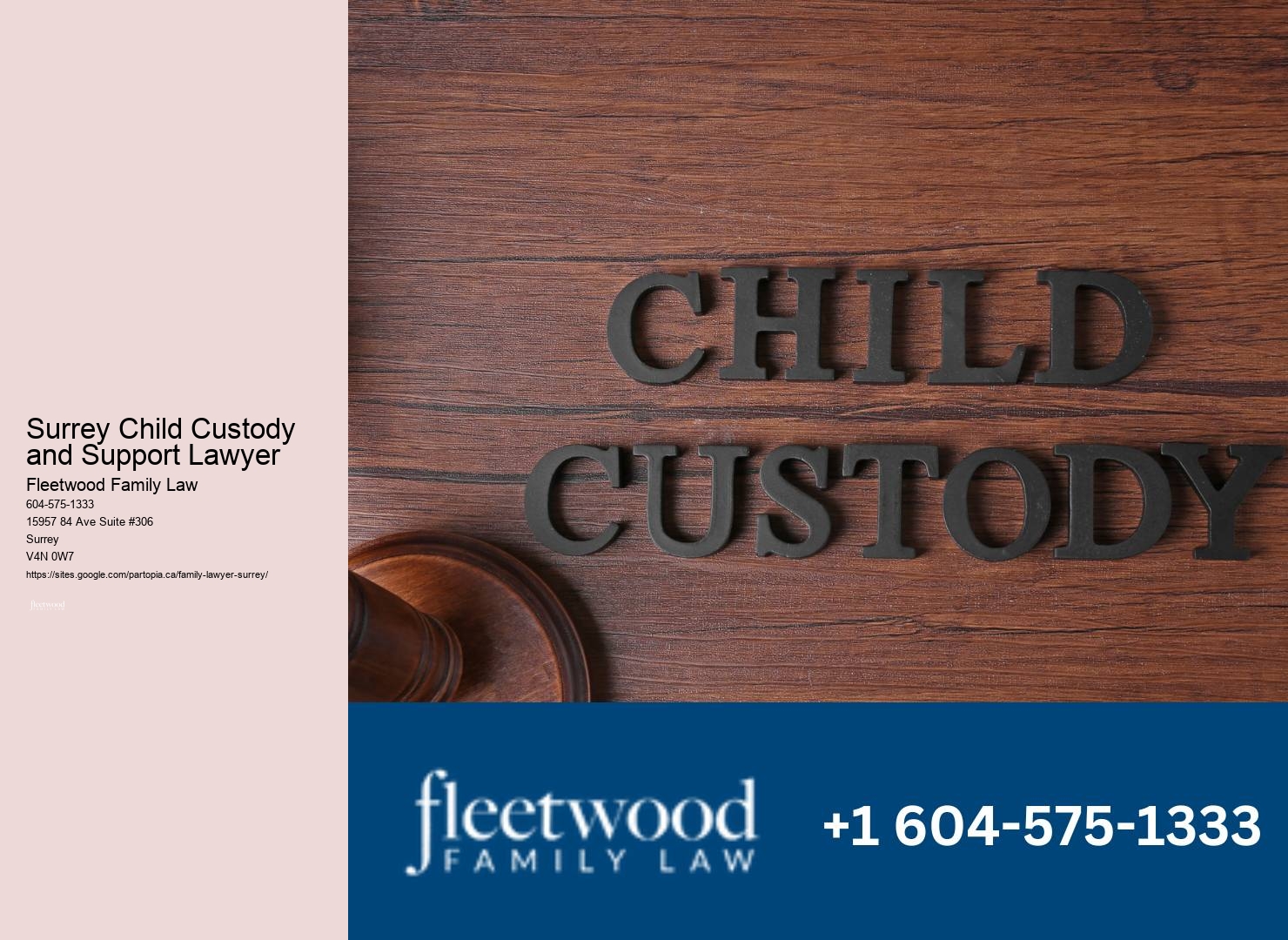 Surrey Child Custody and Support Lawyer Divorce Cases