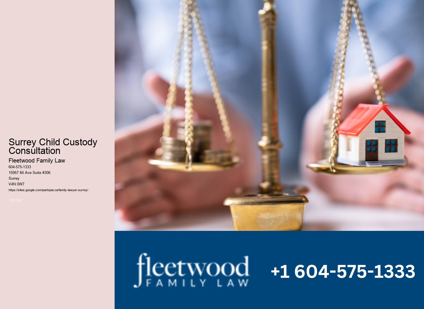 Surrey Child Custody Consultation Child Custody Consultation