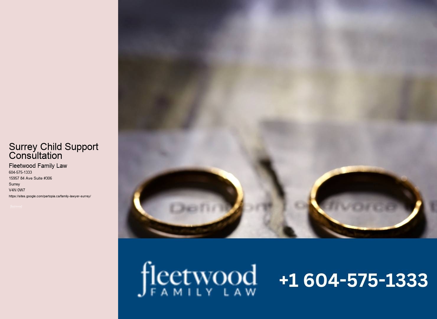 Surrey Child Support Consultation Divorce Process Lawyer