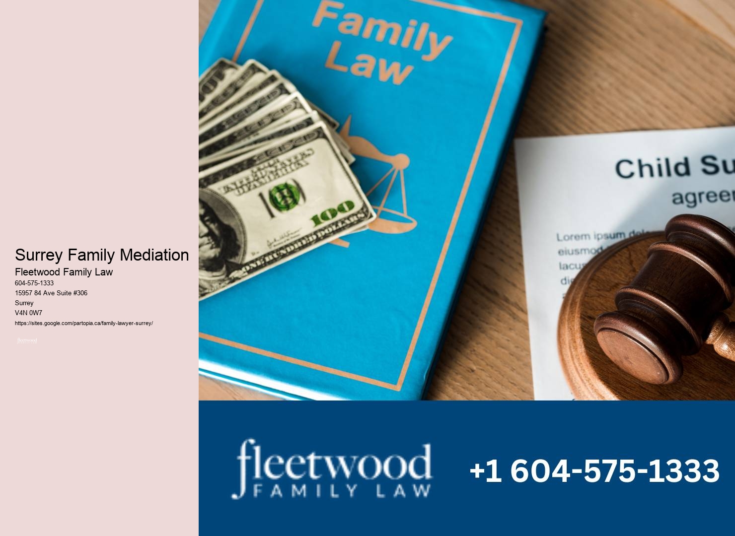 Surrey Family Mediation Child Custody Cases