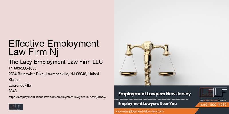Effective Employment Law Firm Nj Employment Law Consultant