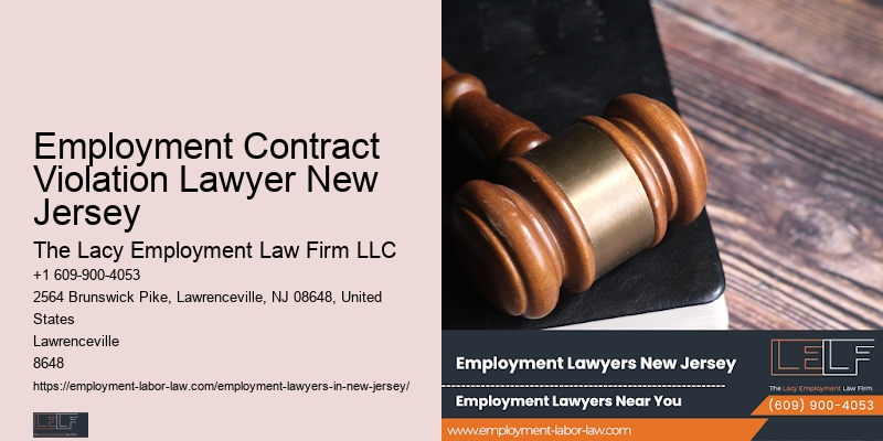 Employment Rights Protection Lawyer Nj