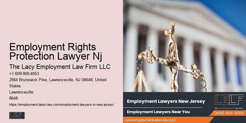 Top Nj Labor And Employment Lawyer