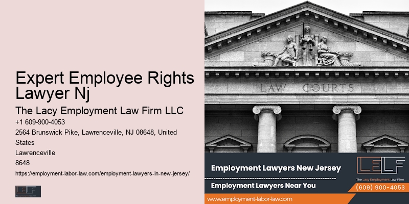 Expert Employee Rights Lawyer Nj