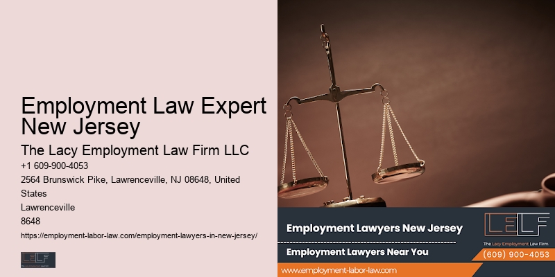 Employee Solutions Legal Expert Nj