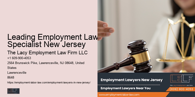 Resolving Workplace Disputes Leading Employment Law Specialist New Jersey